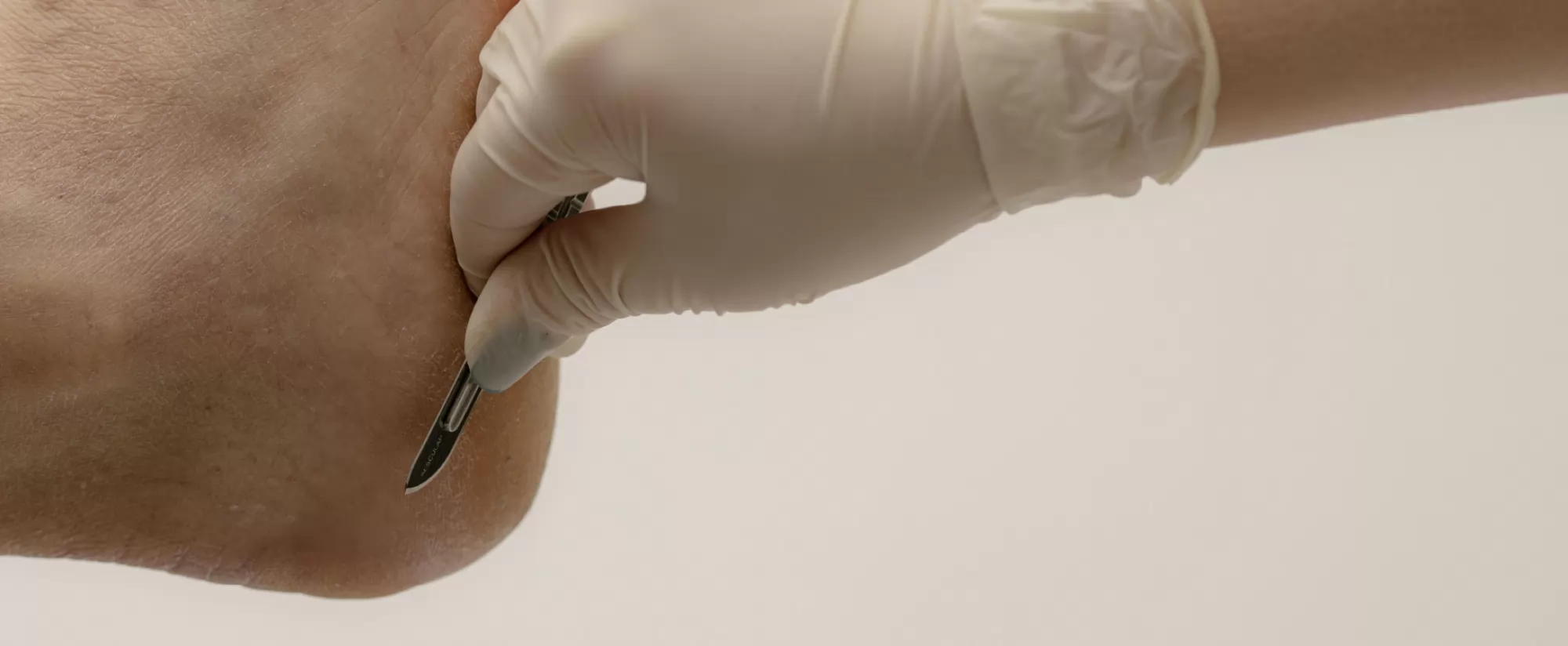 Opis programa usavršavanja